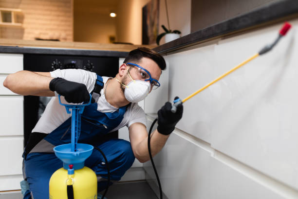 Best Cockroach Control Services  in Fallsburg, NY