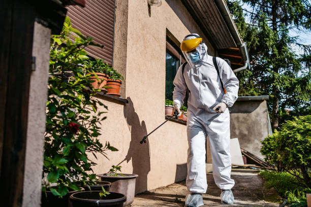 Best Pest Inspection Near Me  in Fallsburg, NY