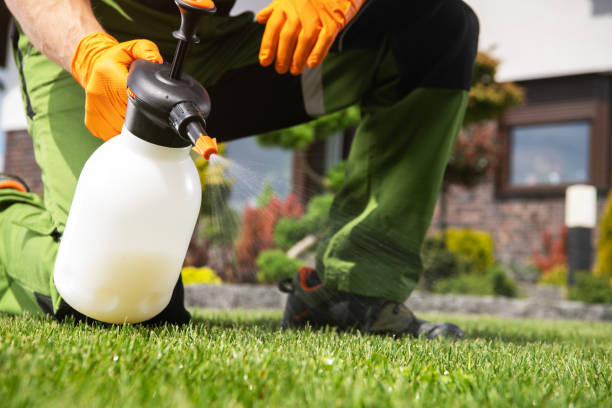 Trusted Fallsburg, NY Pest Control Experts