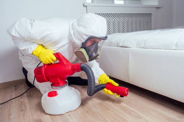 Best Affordable Pest Control Services  in Fallsburg, NY