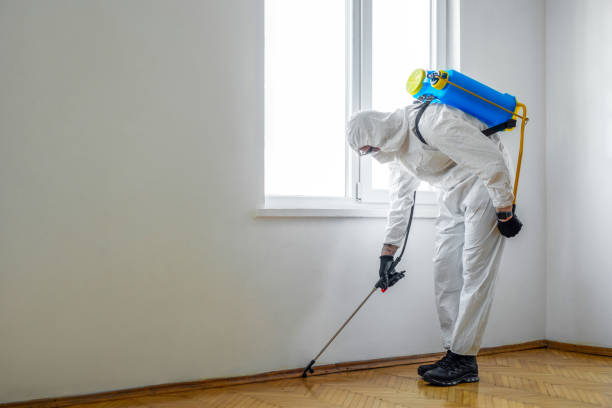 Best Best Pest Control Companies  in Fallsburg, NY
