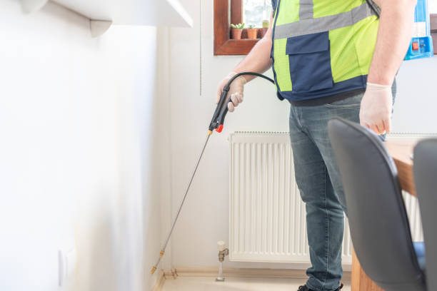 Best Local Pest Control Services  in Fallsburg, NY