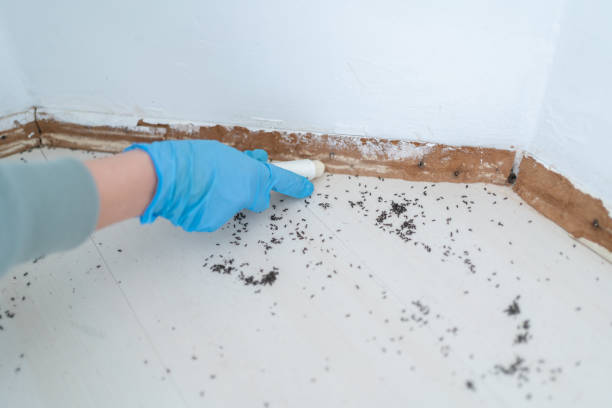 Best Affordable Pest Control Services  in Fallsburg, NY