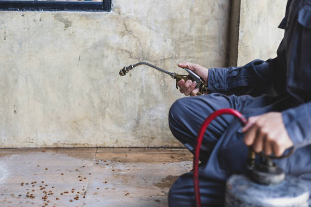 Best Affordable Pest Control Services  in Fallsburg, NY