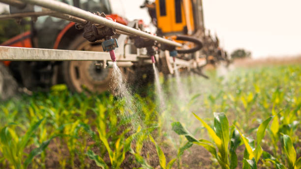 Best Best Pest Control Companies  in Fallsburg, NY