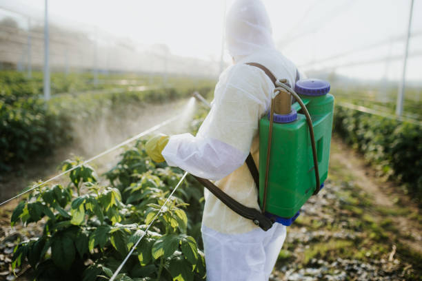 Best Best Pest Control Companies  in Fallsburg, NY